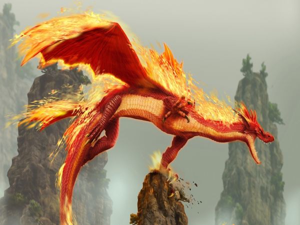 Dragon de flamme