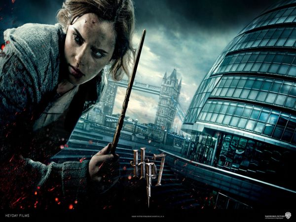 Harry Potter - Les chroniques de la mort