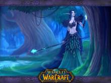 World of Warcraft -Elfes